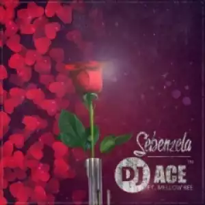 DJ Ace - Sebenzela